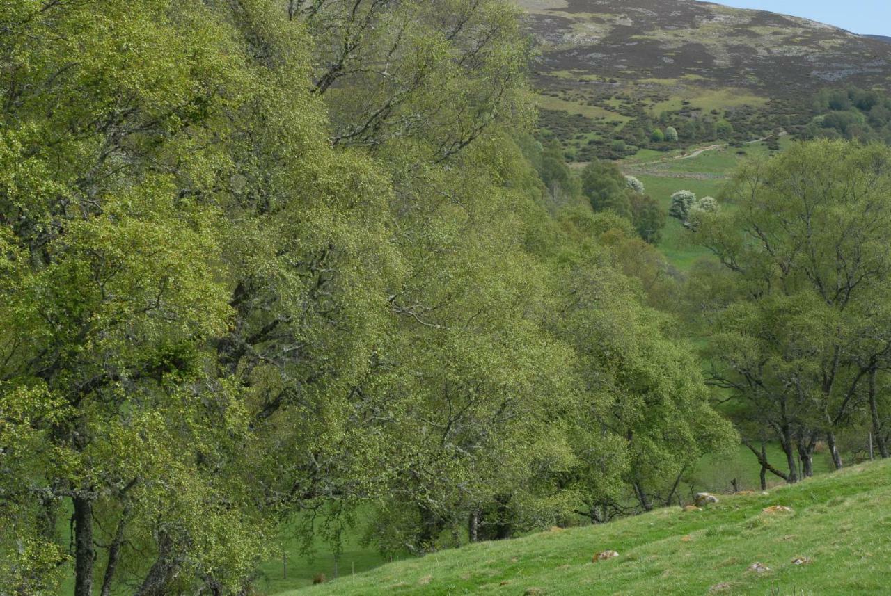 Howe Of Torbeg Ballater Εξωτερικό φωτογραφία